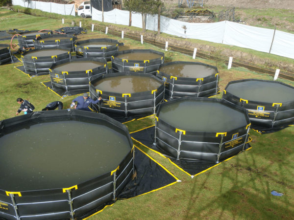 Tanques y Diques en Geomembrana (armado rápido)